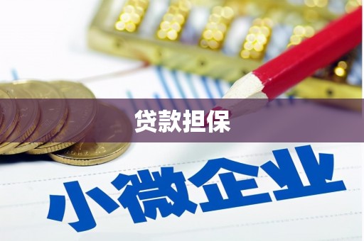 含山贷款担保