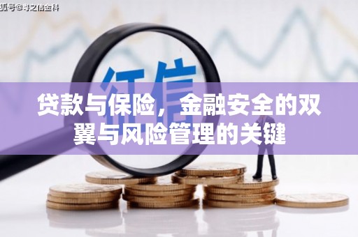 含山贷款与保险，金融安全的双翼与风险管理的关键