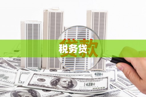 含山税务贷