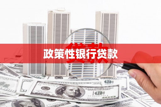 含山政策性银行贷款