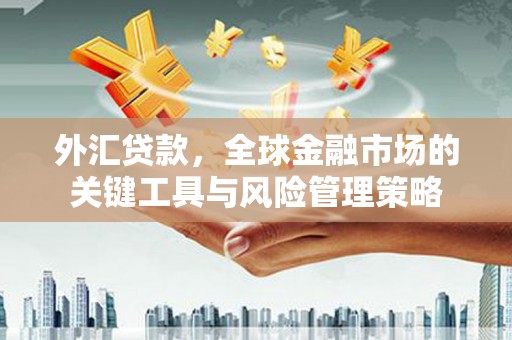 含山外汇贷款，全球金融市场的关键工具与风险管理策略