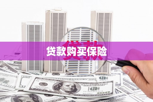 含山贷款购买保险