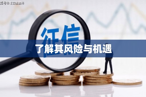 含山了解其风险与机遇
