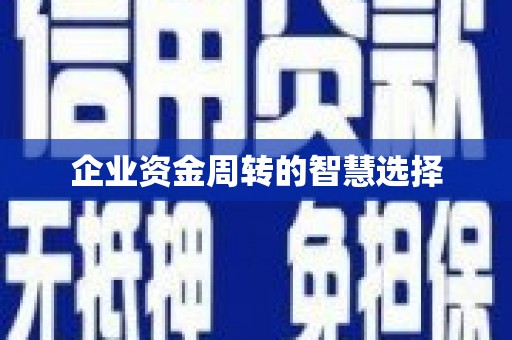 含山企业资金周转的智慧选择