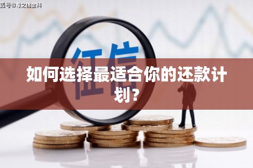 含山如何选择最适合你的还款计划？