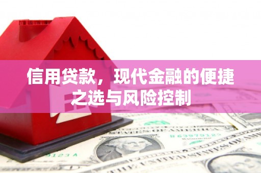 含山信用贷款，现代金融的便捷之选与风险控制