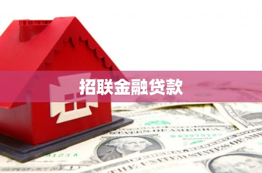 含山招联金融贷款