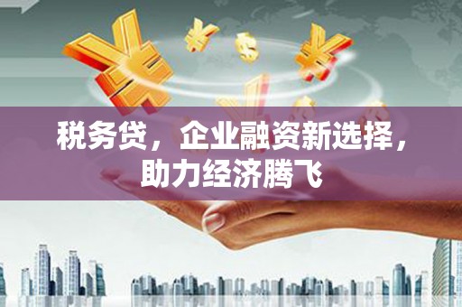 含山税务贷，企业融资新选择，助力经济腾飞