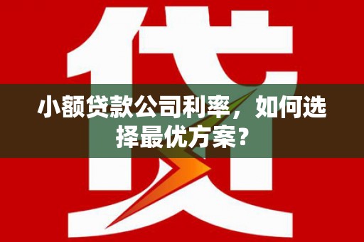 含山小额贷款公司利率，如何选择最优方案？