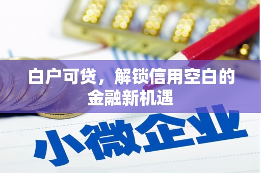 含山白户可贷，解锁信用空白的金融新机遇