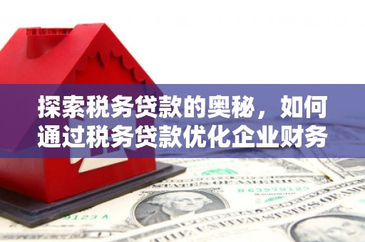 含山探索税务贷款的奥秘，如何通过税务贷款优化企业财务