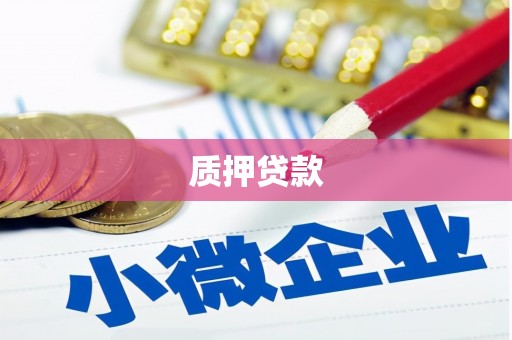 含山质押贷款