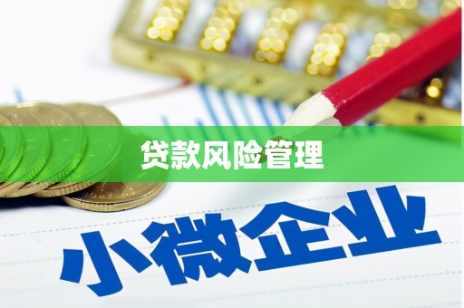 含山贷款风险管理
