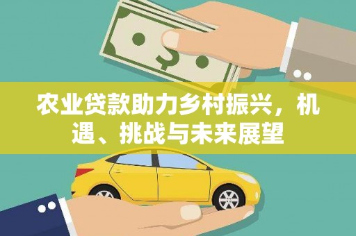 含山农业贷款助力乡村振兴，机遇、挑战与未来展望