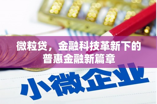 含山微粒贷，金融科技革新下的普惠金融新篇章