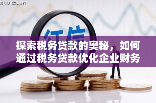 含山探索税务贷款的奥秘，如何通过税务贷款优化企业财务