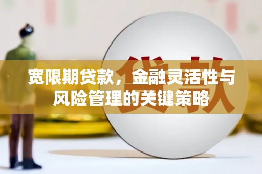 含山宽限期贷款，金融灵活性与风险管理的关键策略