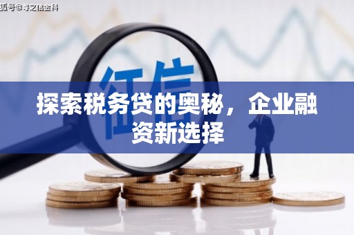 含山探索税务贷的奥秘，企业融资新选择