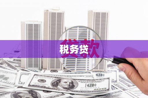 含山税务贷
