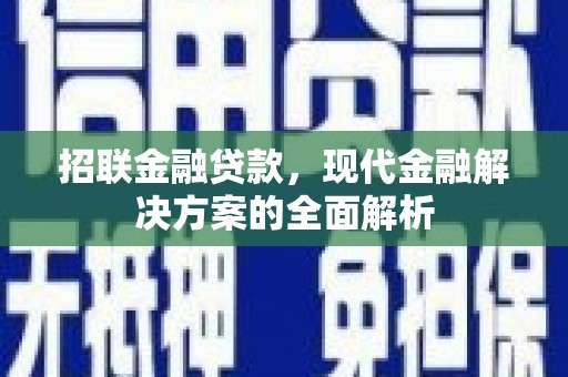 含山招联金融贷款，现代金融解决方案的全面解析