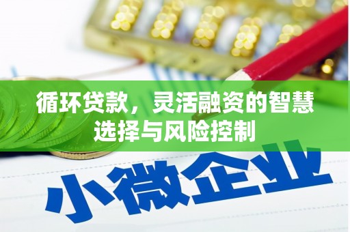含山循环贷款，灵活融资的智慧选择与风险控制