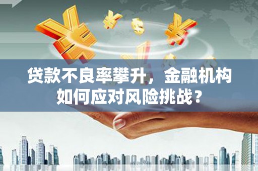 含山贷款不良率攀升，金融机构如何应对风险挑战？