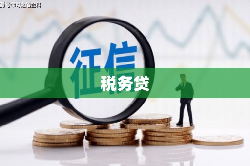 含山税务贷