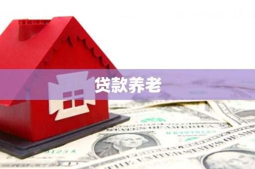 含山贷款养老