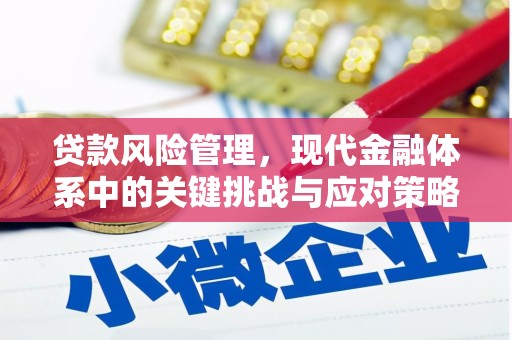 含山贷款风险管理，现代金融体系中的关键挑战与应对策略