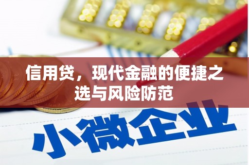 含山信用贷，现代金融的便捷之选与风险防范