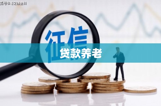 含山贷款养老