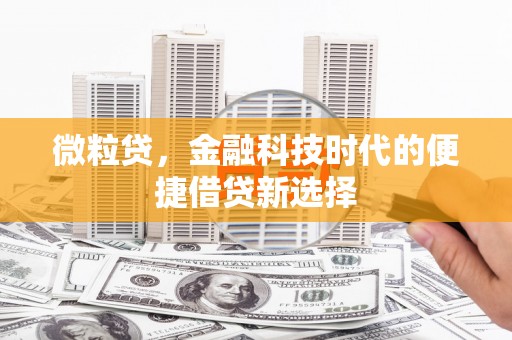 含山微粒贷，金融科技时代的便捷借贷新选择