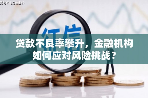 含山贷款不良率攀升，金融机构如何应对风险挑战？