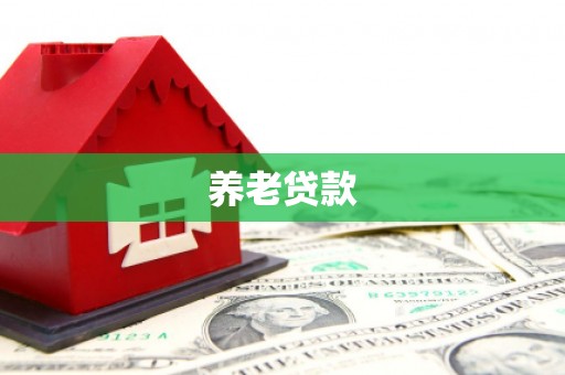 含山养老贷款