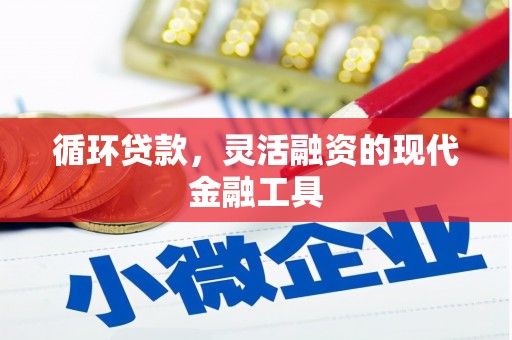 含山循环贷款，灵活融资的现代金融工具