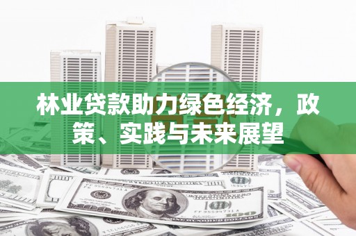 含山林业贷款助力绿色经济，政策、实践与未来展望