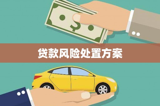 含山贷款风险处置方案