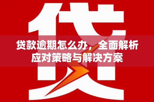 含山贷款逾期怎么办，全面解析应对策略与解决方案