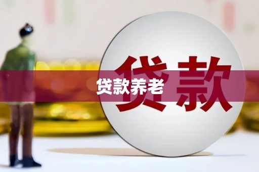 含山贷款养老