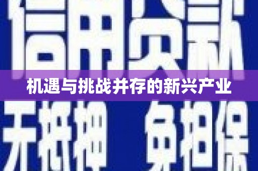 含山机遇与挑战并存的新兴产业