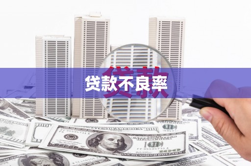 含山贷款不良率