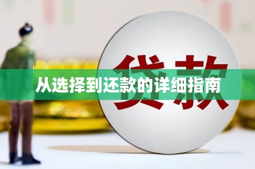 含山从选择到还款的详细指南