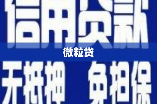 含山微粒贷