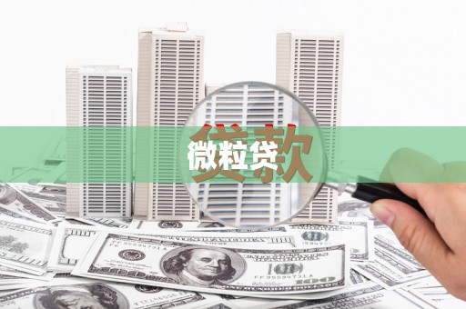 含山微粒贷
