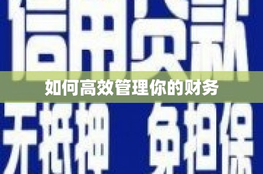 含山如何高效管理你的财务