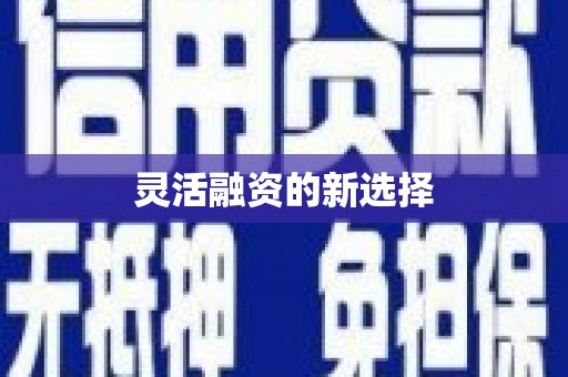 含山灵活融资的新选择