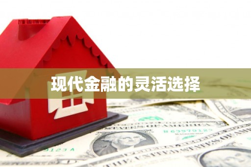 含山现代金融的灵活选择