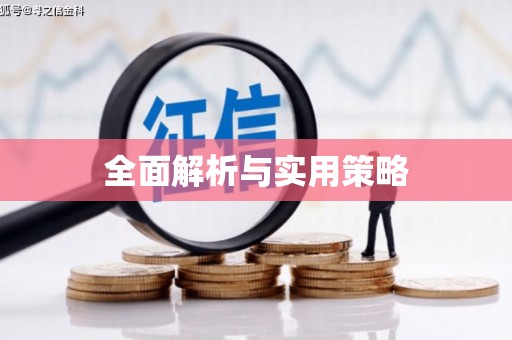 含山全面解析与实用策略