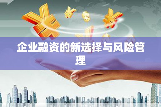 含山企业融资的新选择与风险管理