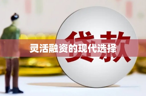 含山灵活融资的现代选择